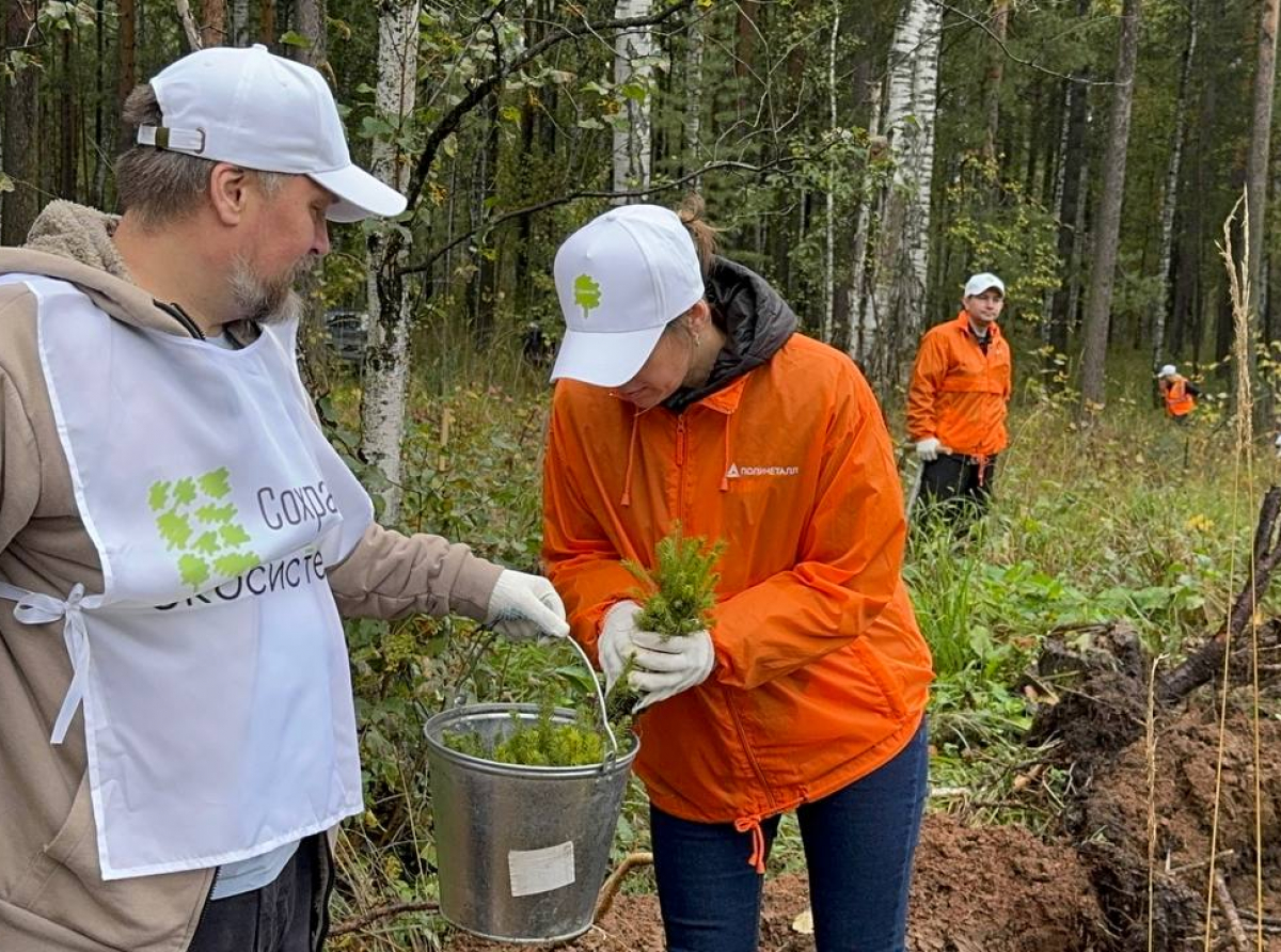 Фото предоставлено ДИП